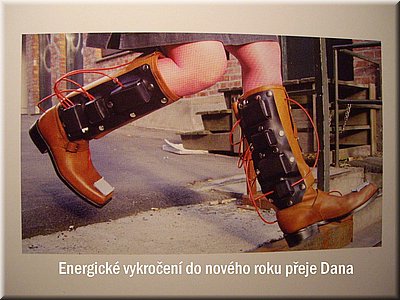 PF2008-DanaMachna-EnergickeVykroceni800.jpg