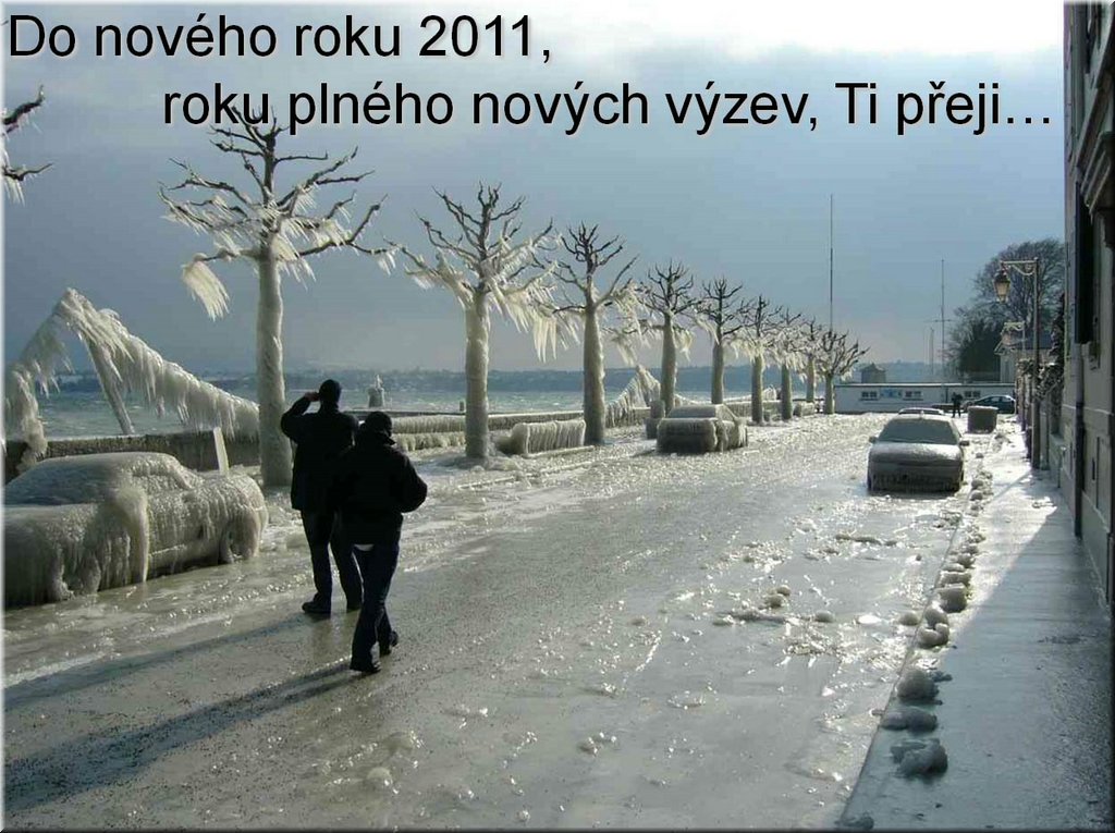 PF2011_Olina.jpg