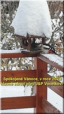 VJ-JarmilaVocetkova.jpg
