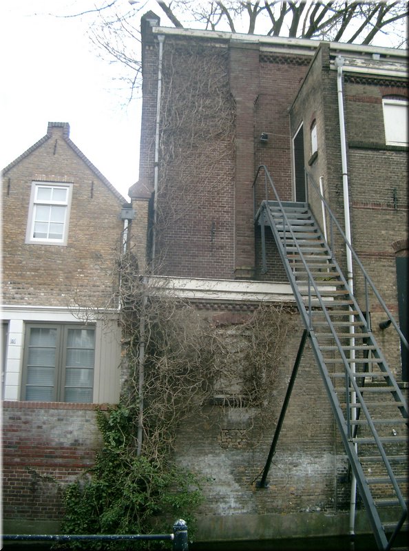 IMGP0019.JPG
