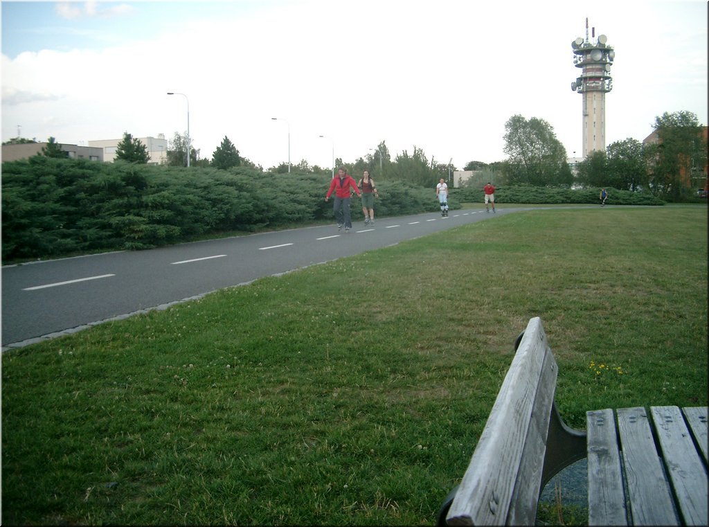 070802-Ladronka-InLine-01.JPG