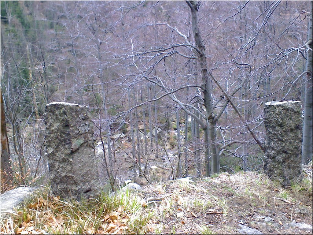 080419-Oresnik-45.JPG