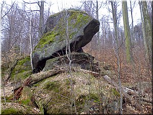 080419-Oresnik-10.JPG