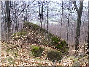 080419-Oresnik-13.JPG