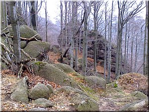 080419-Oresnik-21.JPG