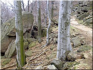 080419-Oresnik-29.JPG