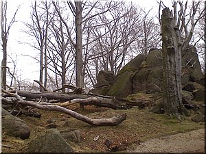 080419-Oresnik-30.JPG