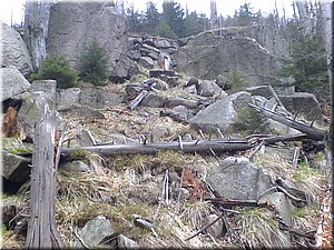 080419-Oresnik-44.JPG