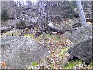 080419-Oresnik-47.JPG