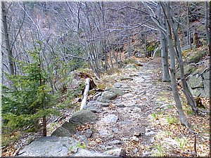 080419-Oresnik-50.JPG