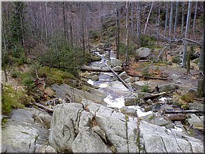 080419-Oresnik-66.JPG