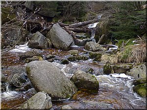 080419-Oresnik-67.JPG