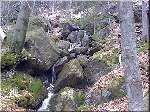 080419-Oresnik-83.JPG