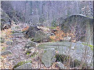 080419-Oresnik-86.JPG