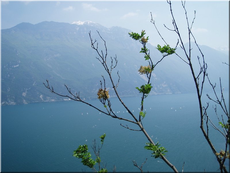 080509-LagoDiGarda-074_MarS.JPG