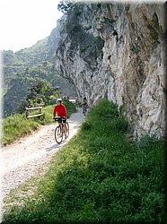 080509-LagoDiGarda-133_Brc.JPG