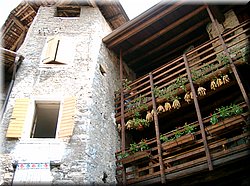 080510-LagoDiGarda-187_Brc.JPG