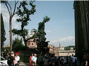 090501-Roma-276.JPG