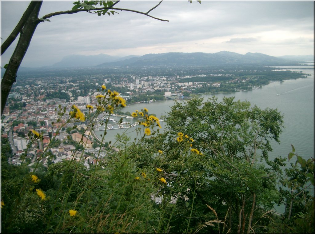 090730-Bregenz-0861-Pfaender.JPG