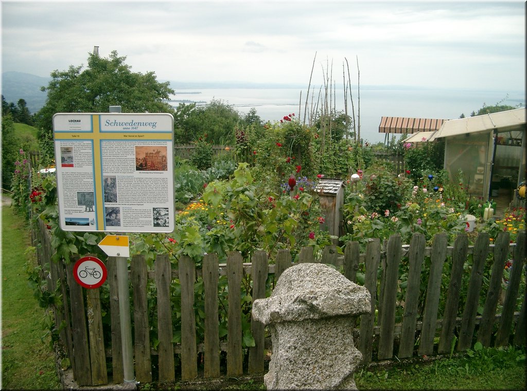 090730-Bregenz-0874-Pfaender.JPG