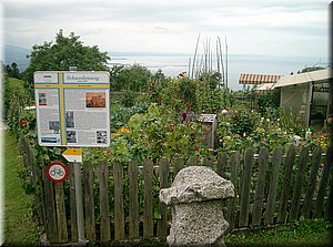 090730-Bregenz-0874-Pfaender.JPG