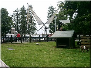 090730-Bregenz-0892-Pfaender.JPG