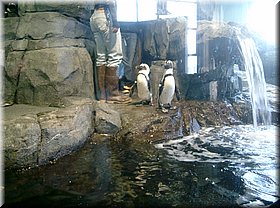 090831-USA-1097.JPG