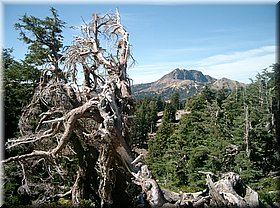 090909-USA-1652.JPG