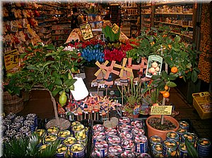 091117-Holandsko-811.JPG