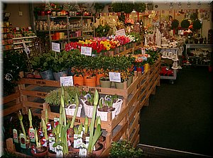 091117-Holandsko-814.JPG