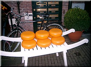 091117-Holandsko-815.JPG