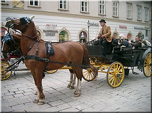 100508-Wien-76.JPG