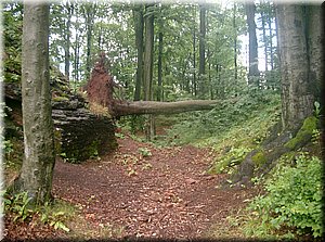 100807-Hradek-51.JPG