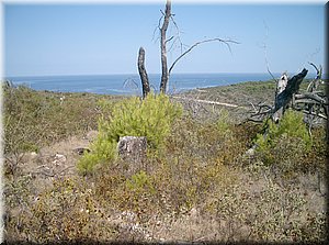 100825-jachtaIrena-4139_Brc.JPG