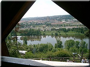 110522-ZOO-051.JPG