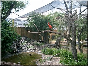 110522-ZOO-089.JPG