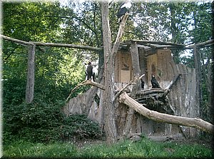 110522-ZOO-124.JPG