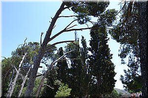 110531-Kreta-0484.JPG