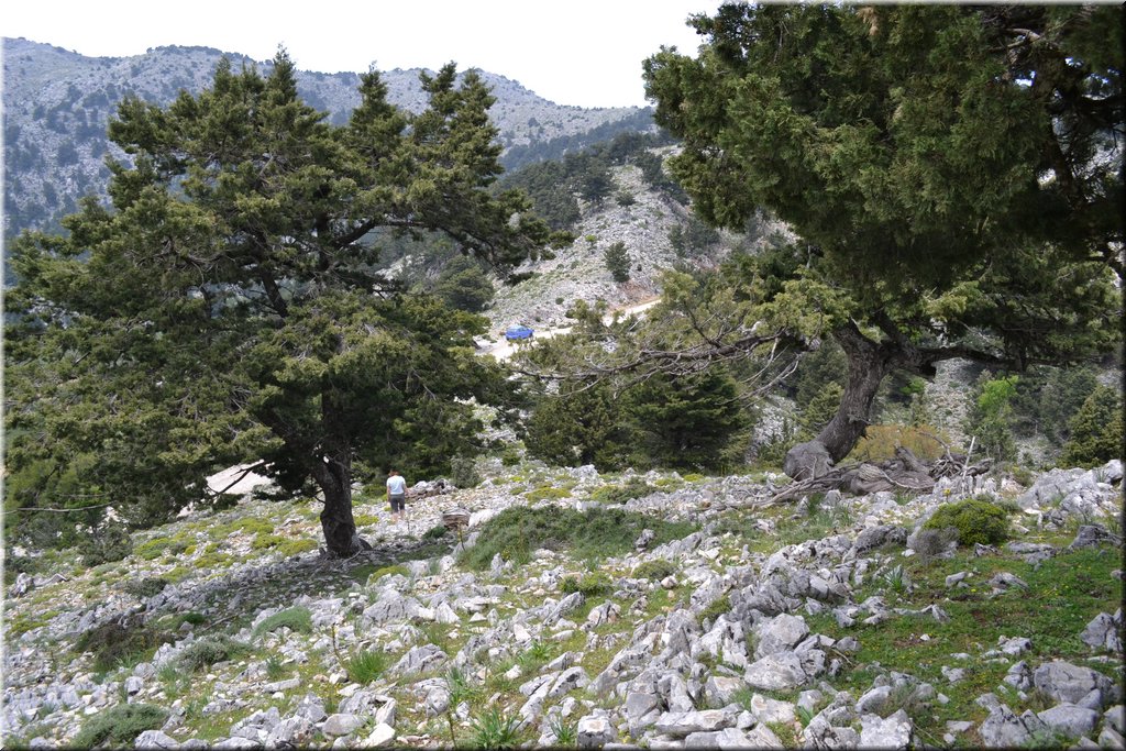 110602-Kreta-0888.JPG