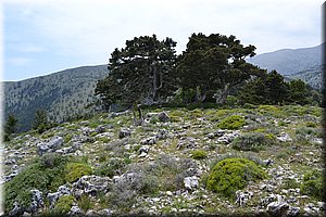 110602-Kreta-0859.JPG