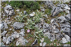 110602-Kreta-0864.JPG
