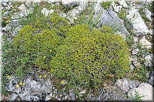 110602-Kreta-0869.JPG