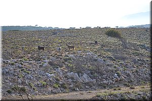 110602-Kreta-1077.JPG