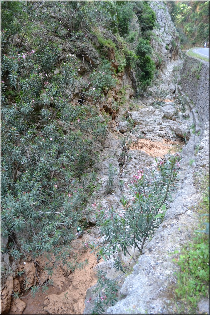 110603-Kreta-1254.JPG