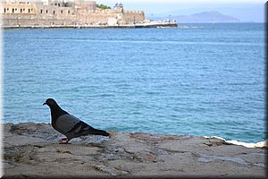 110603-Kreta-1169.JPG