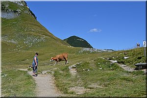 110818-motoGmunden-258.JPG