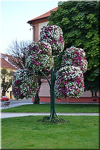 110824-SusiceaSteaky-09.JPG
