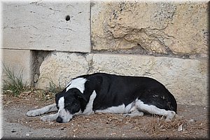111118-Atheny-011.JPG
