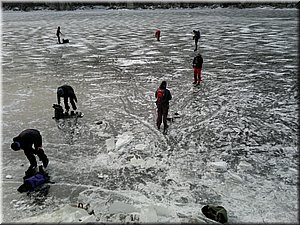 120204-BrusleniNaZvikove-31.jpg