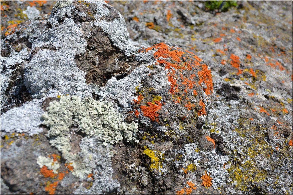 120706-Dolomiti-094_Nikon.JPG